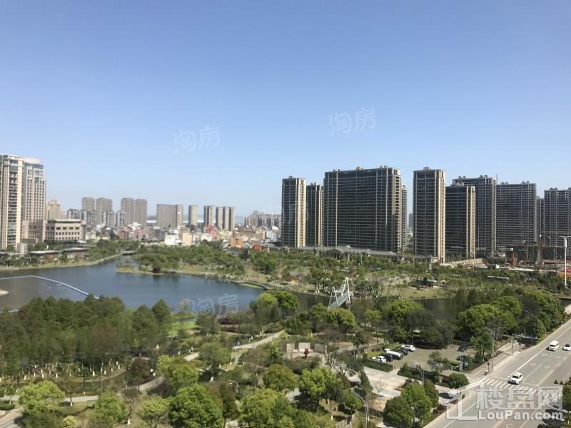 乐清·绿城玫瑰园实景图