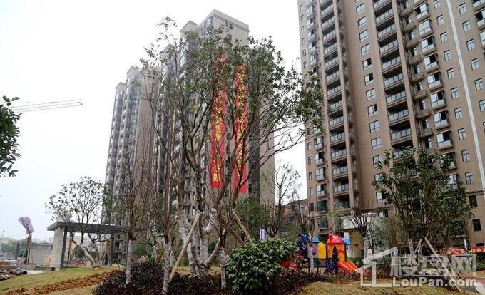 乾道 金湘花园实景图