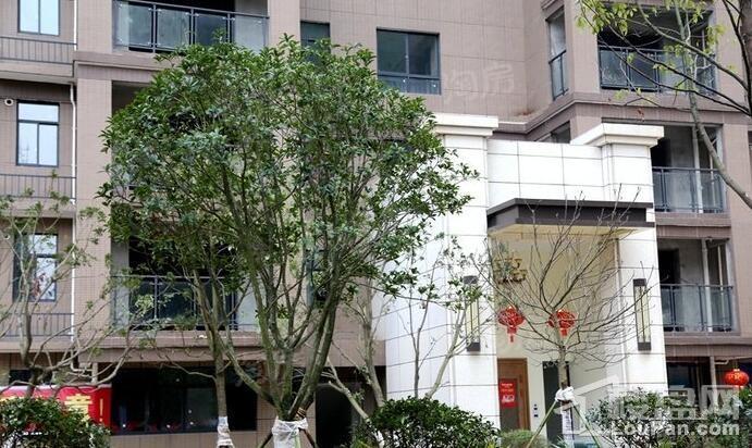 乾道 金湘花园实景图