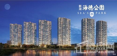新湖·海德公园效果图