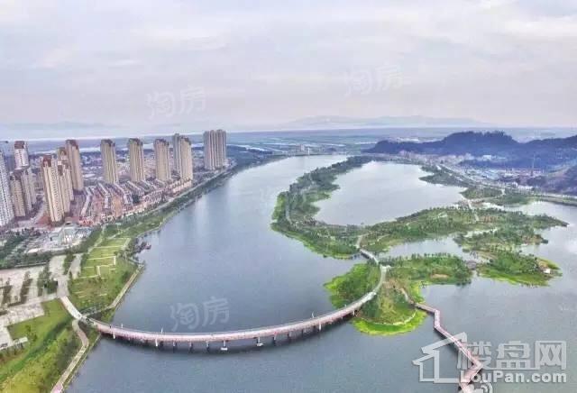 新湖·海德公园实景图