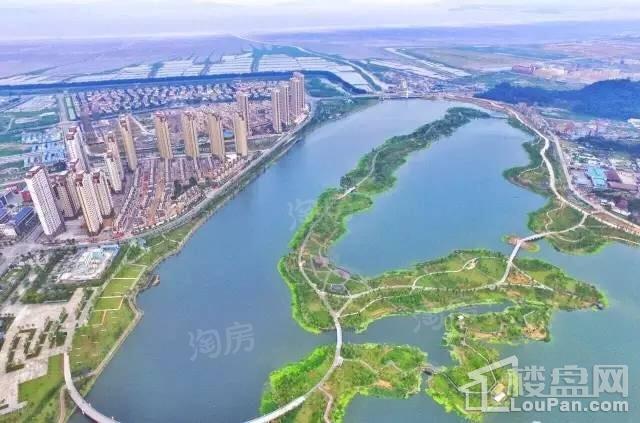 新湖·海德公园实景图