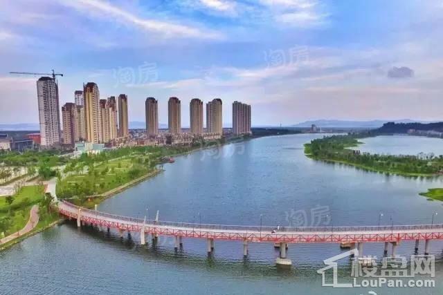 新湖·海德公园实景图