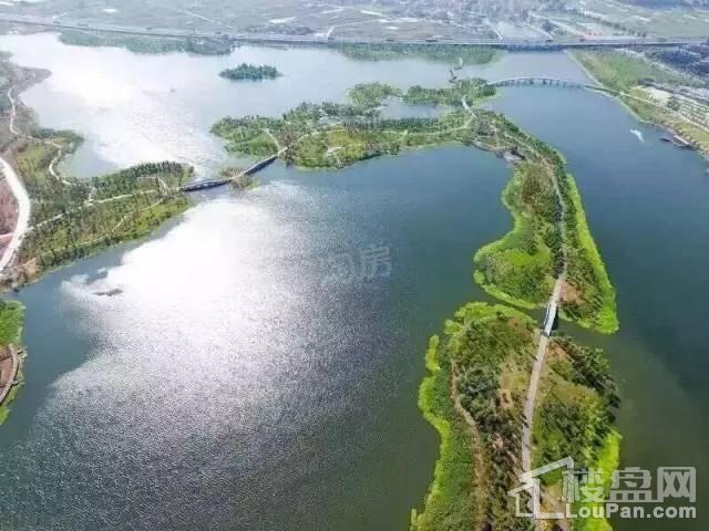 新湖·海德公园实景图