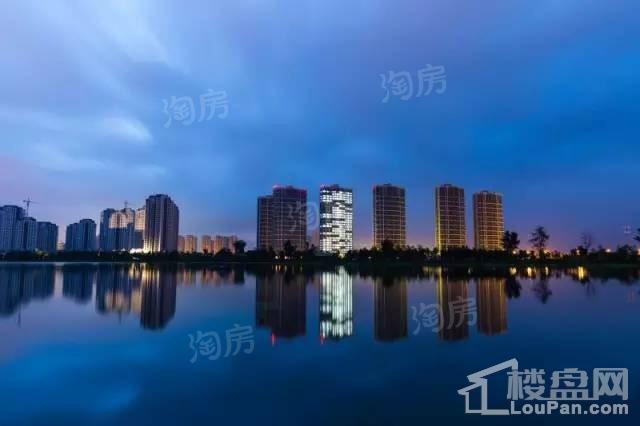 新湖·海德公园实景图