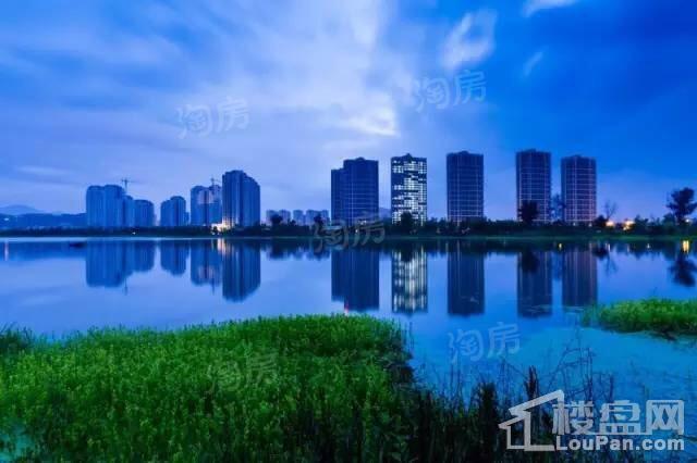 新湖·海德公园实景图