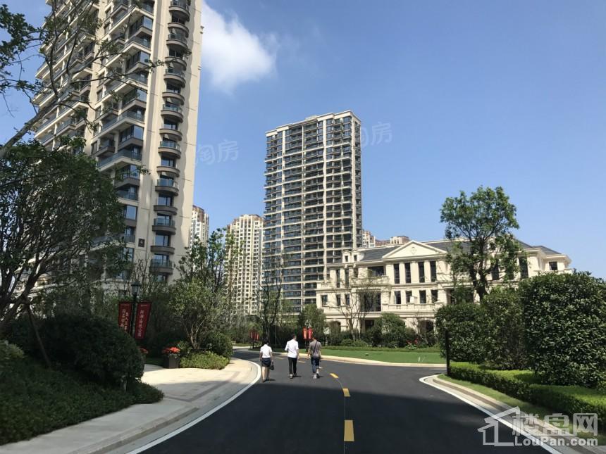 新湖·海德公园实景图