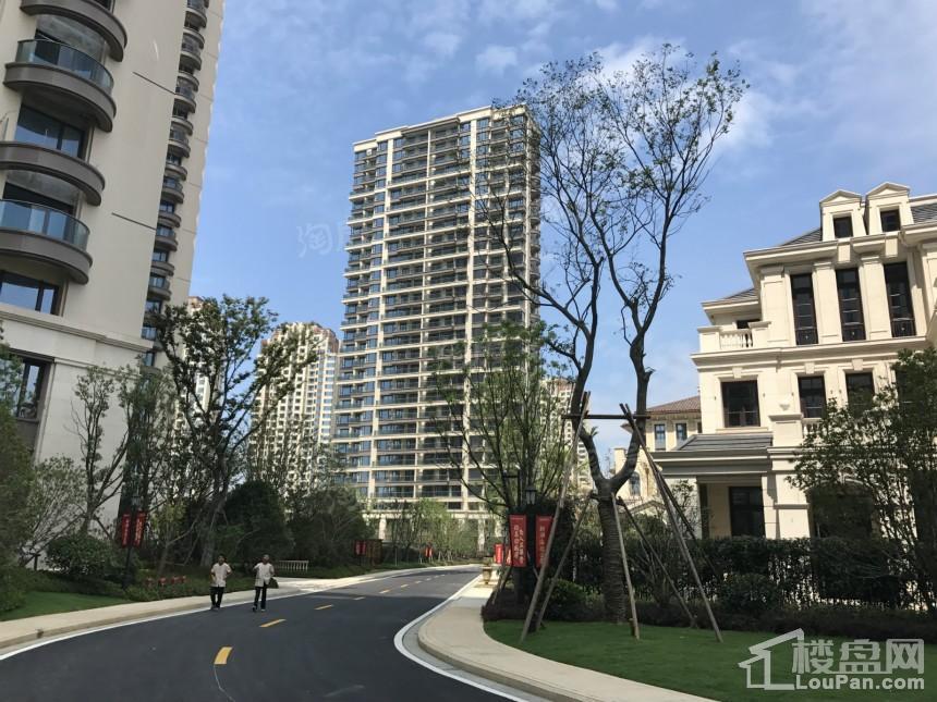 新湖·海德公园实景图