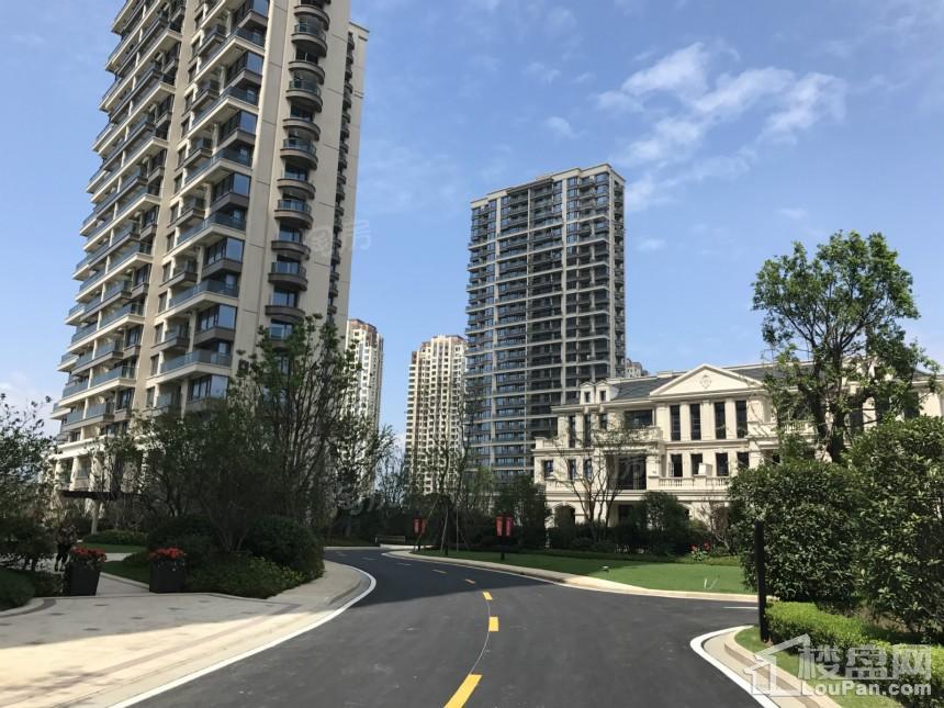 新湖·海德公园实景图
