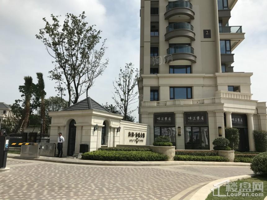 新湖·海德公园实景图