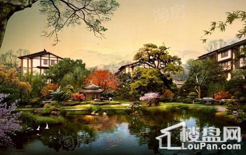 楠溪云岚效果图