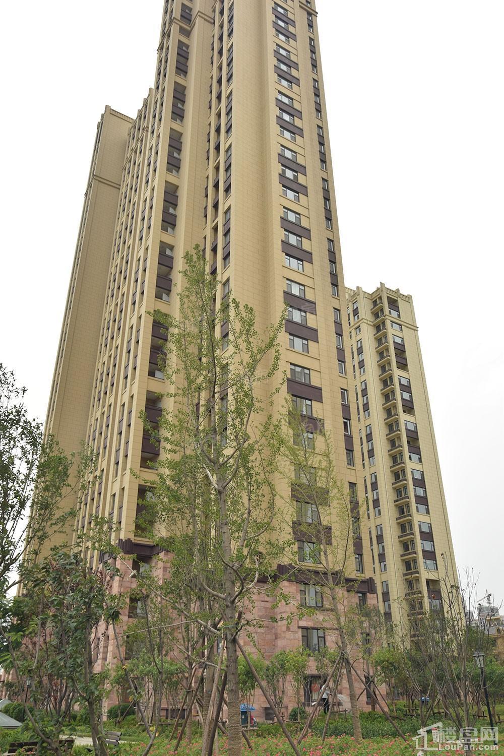 国信·国际公馆实景图