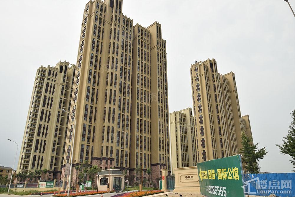 国信·国际公馆实景图