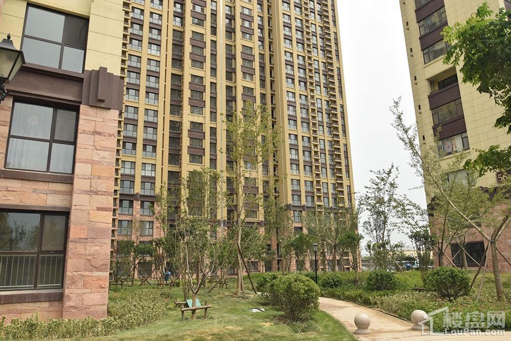 国信·国际公馆实景图