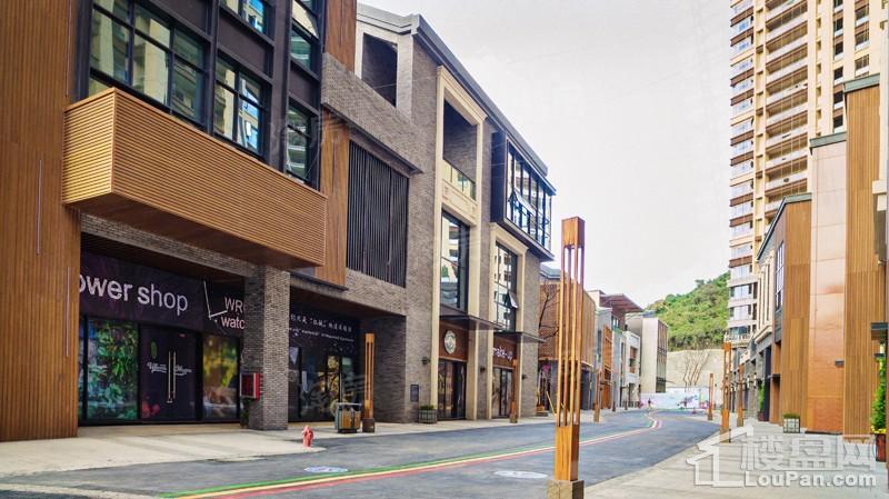 保利凤凰湾实景图
