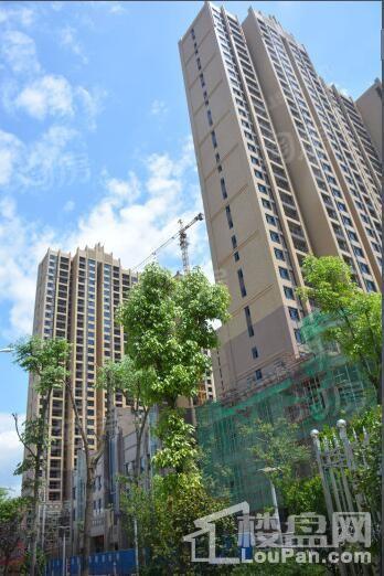 广厦名都实景图