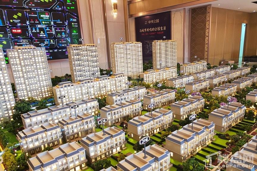华鸿时代·中央公园实景图