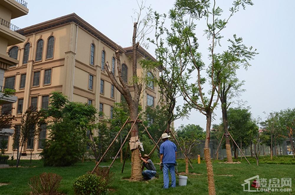 春申君临天下实景图