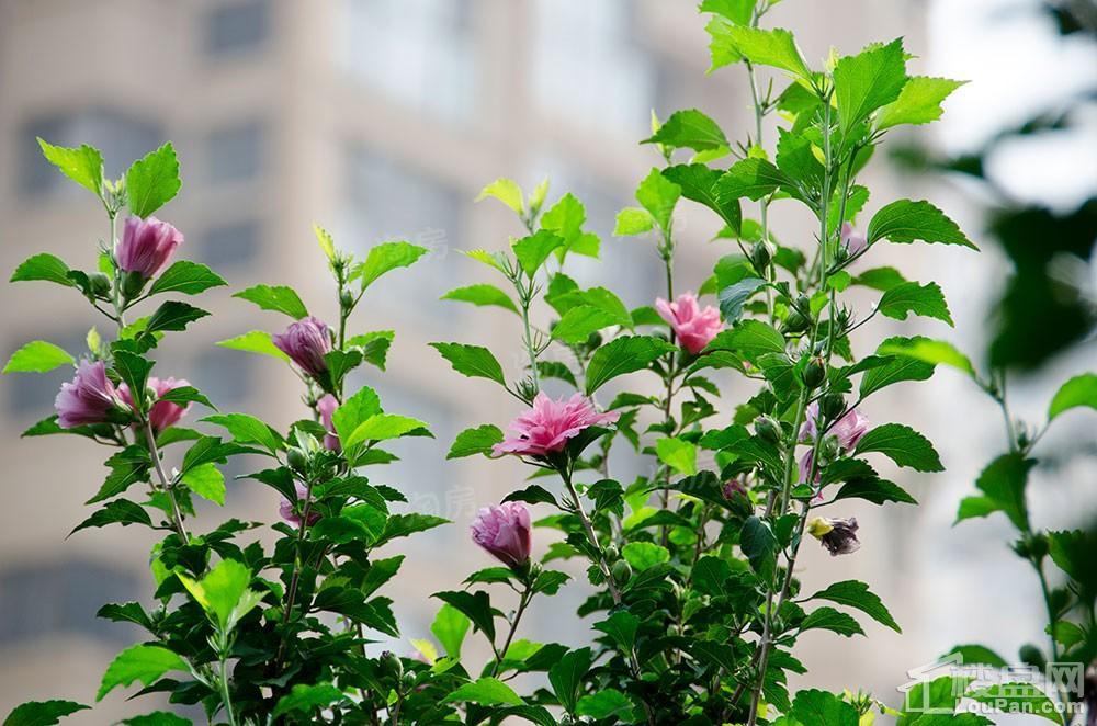 春申君临天下实景图