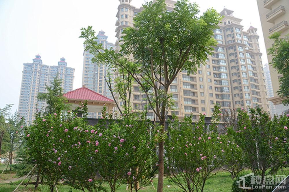 春申君临天下实景图