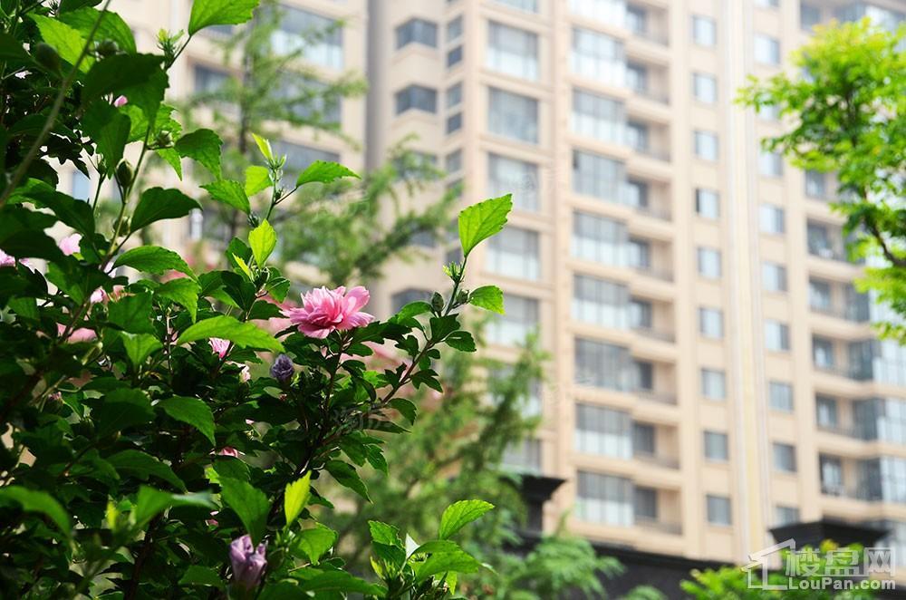 春申君临天下实景图