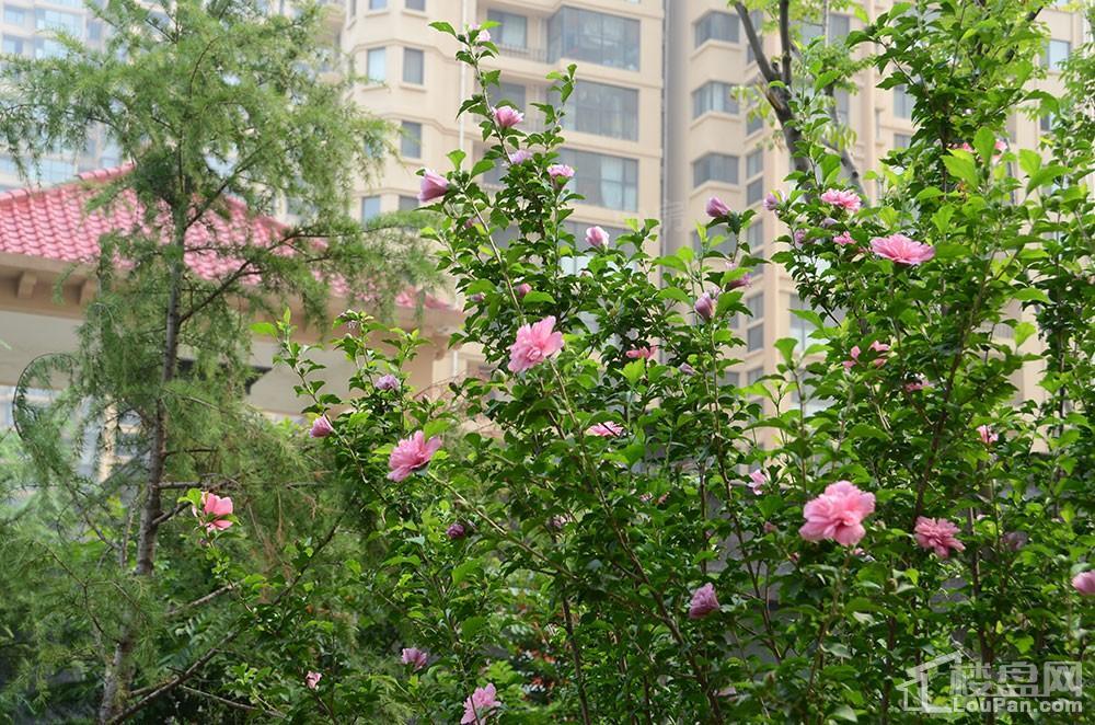 春申君临天下实景图