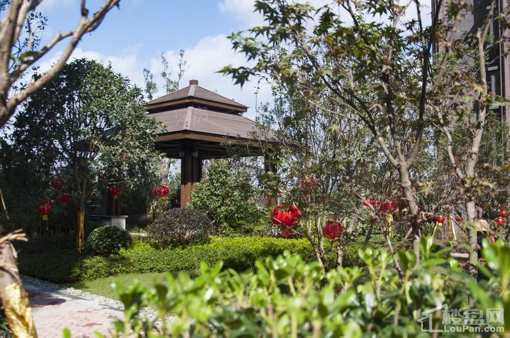 广大城实景图