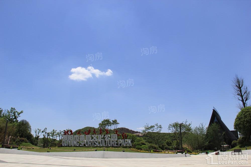 广大城配套图