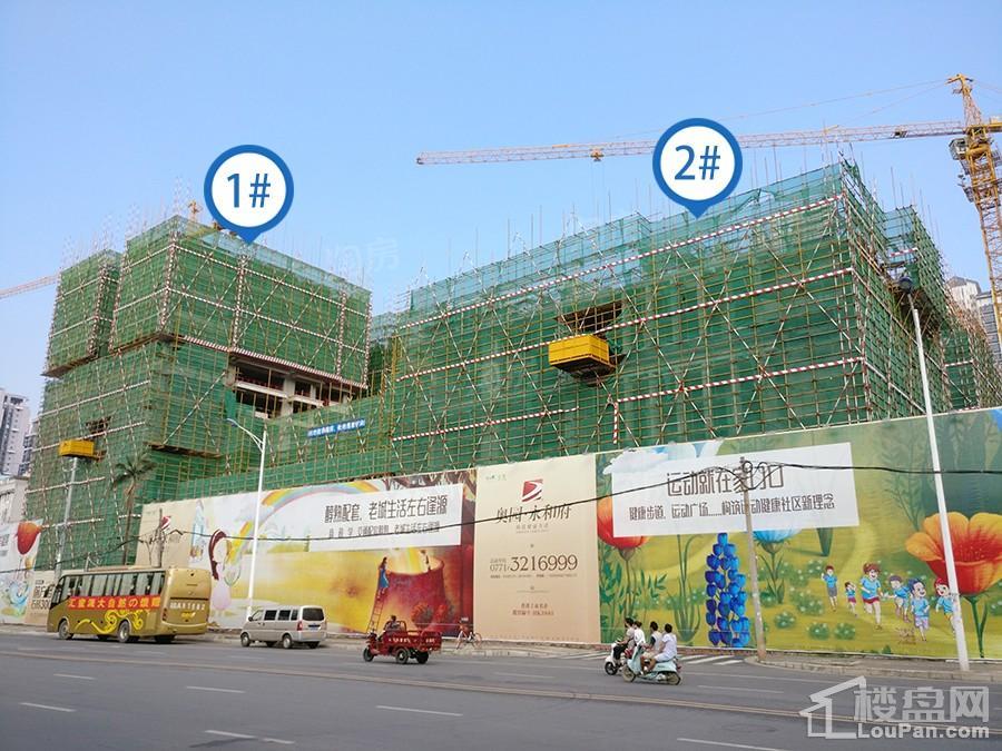 奥园永和府实景图