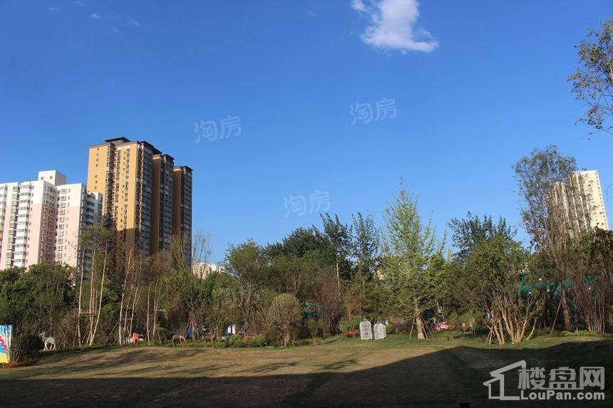 合能铂悦府效果图