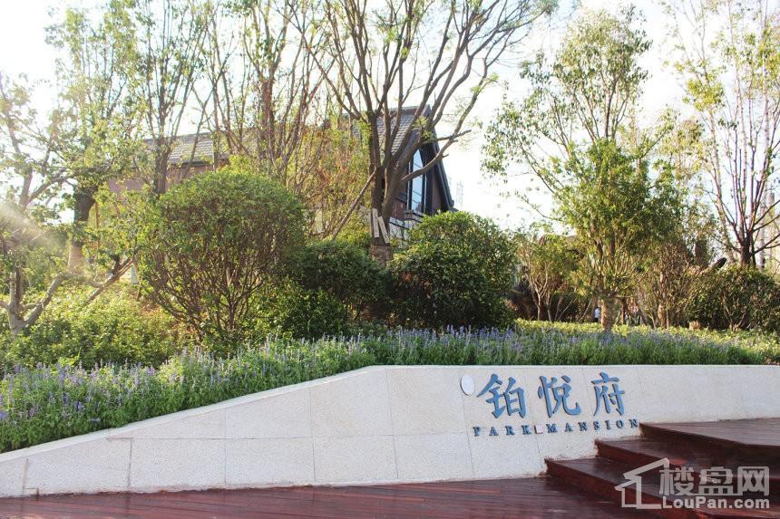 合能铂悦府效果图