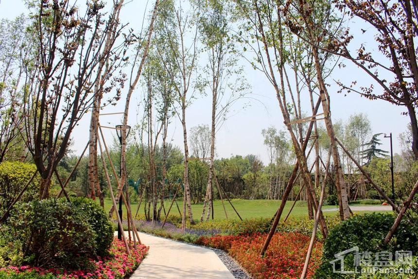 合能铂悦府效果图