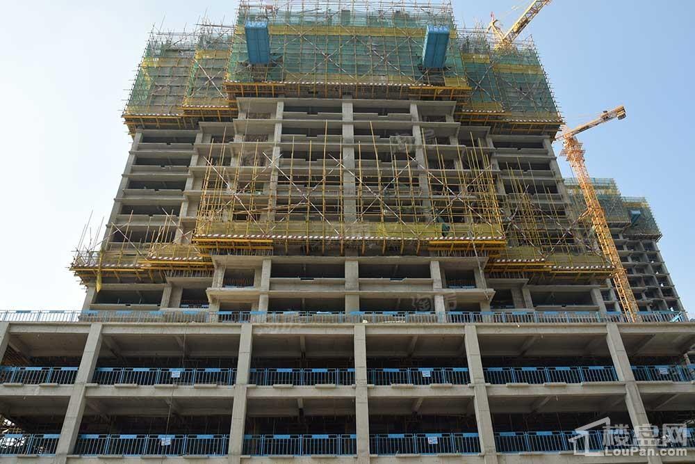 创业火炬广场住宅实景图