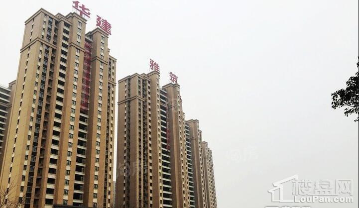 实景图