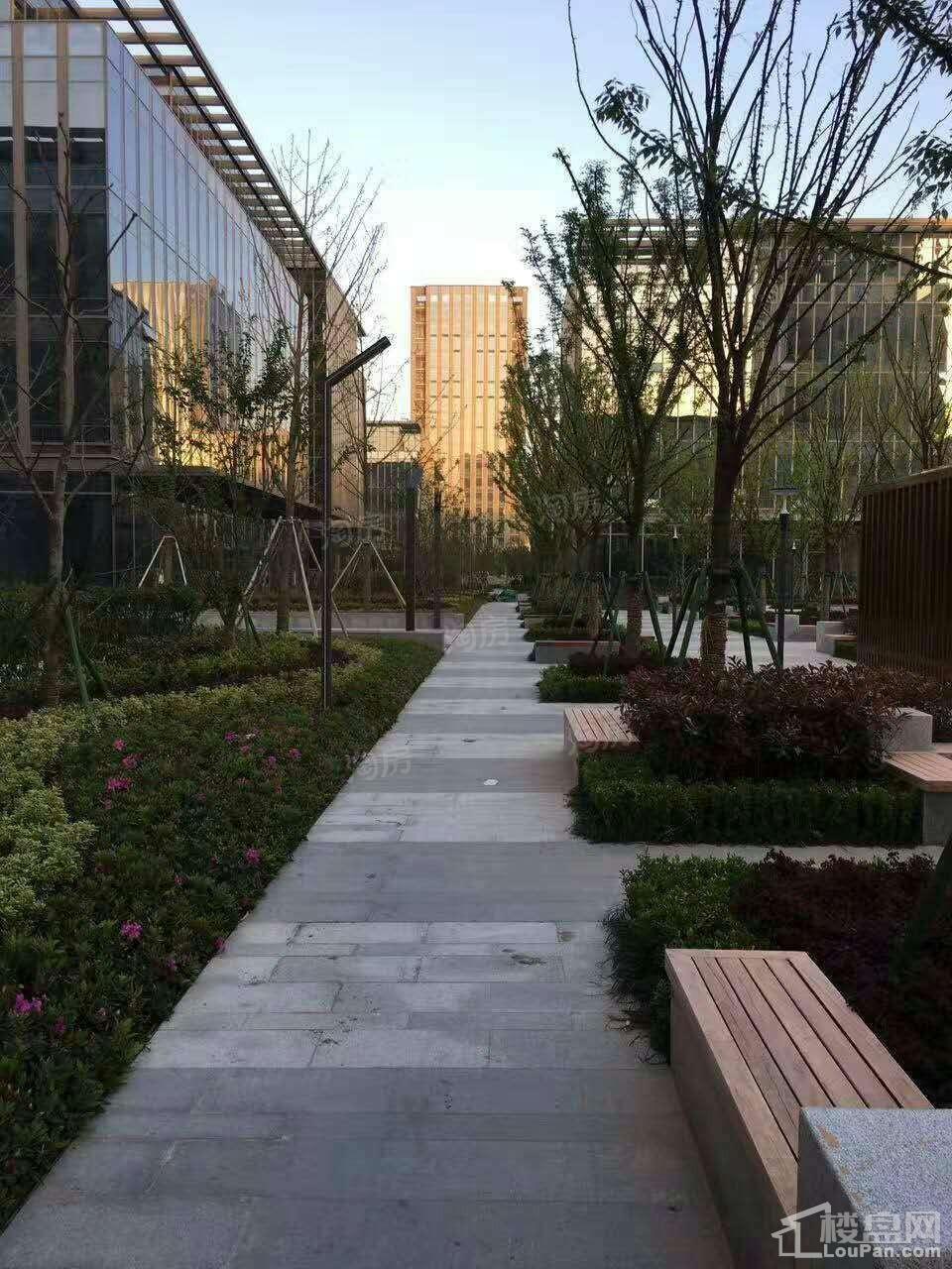 宁波智慧园实景图