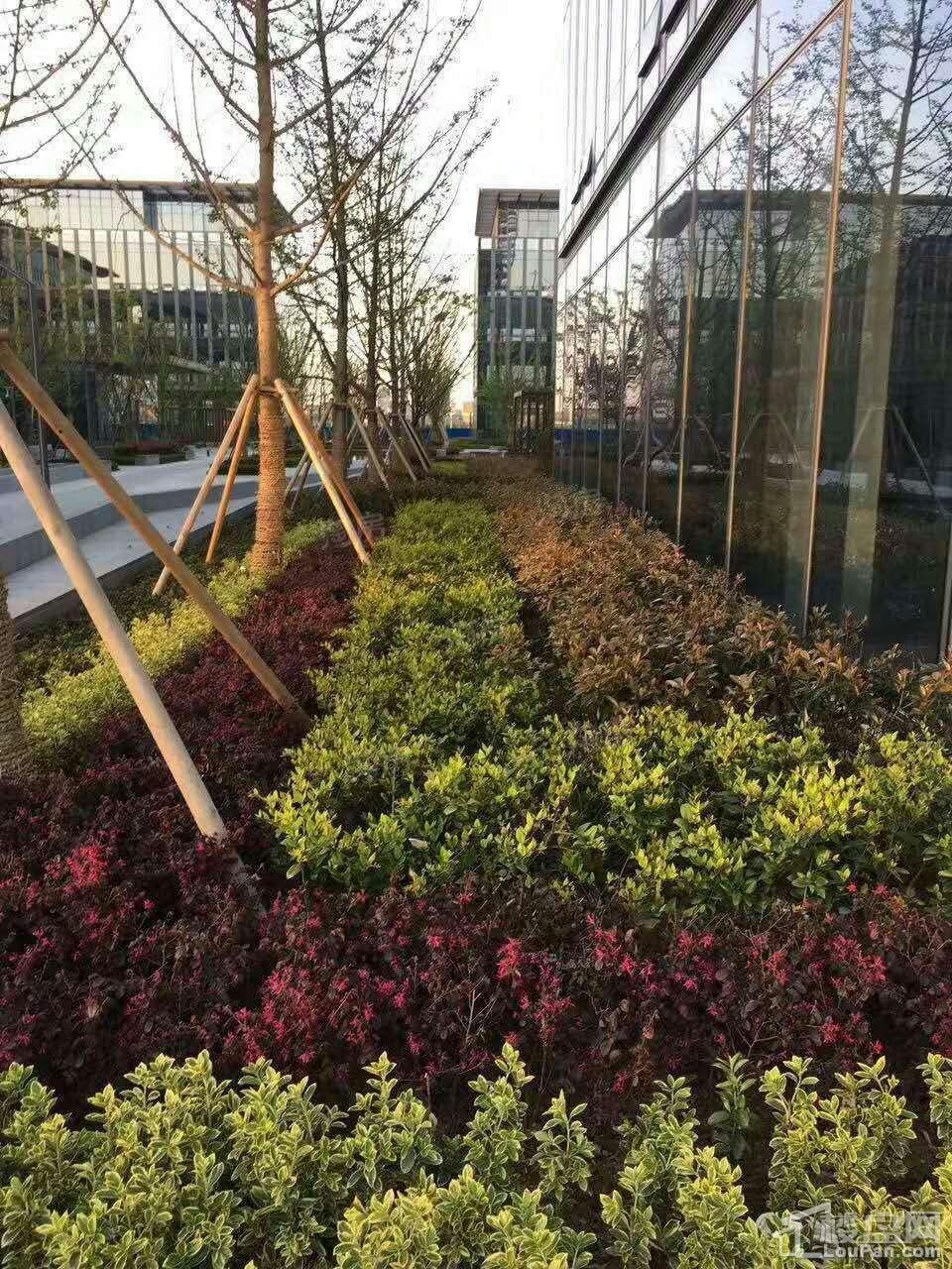 宁波智慧园实景图