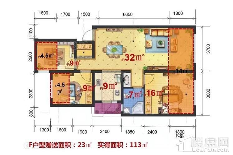 F户型