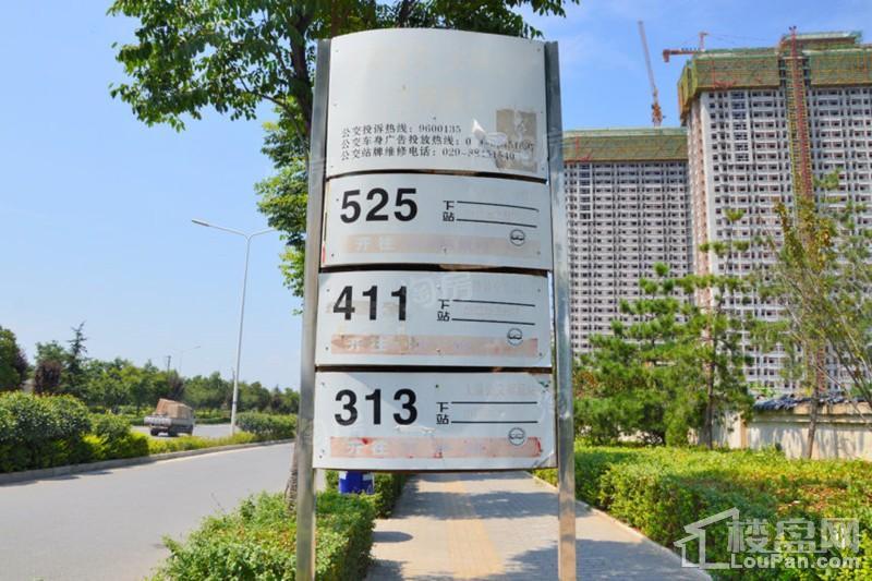 天琴湾配套图