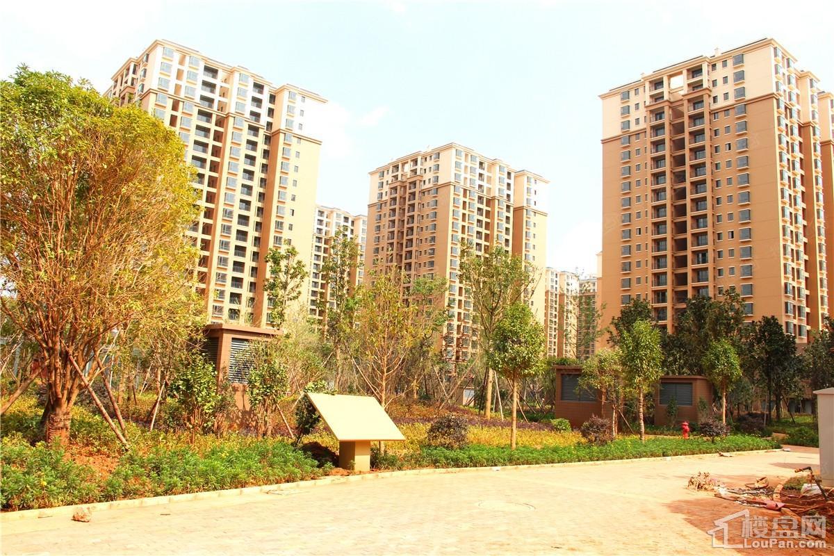 筑友双河湾实景图
