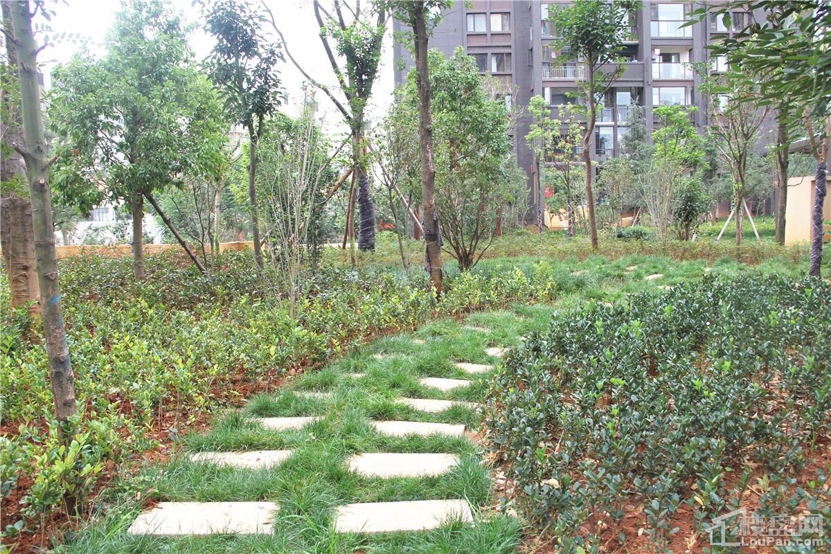 万彩城实景图