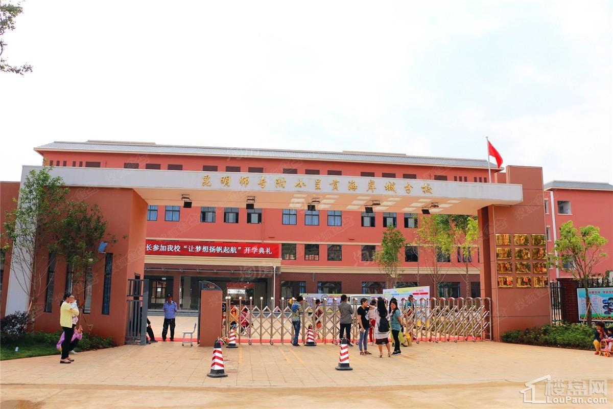 绿地东海岸实景图