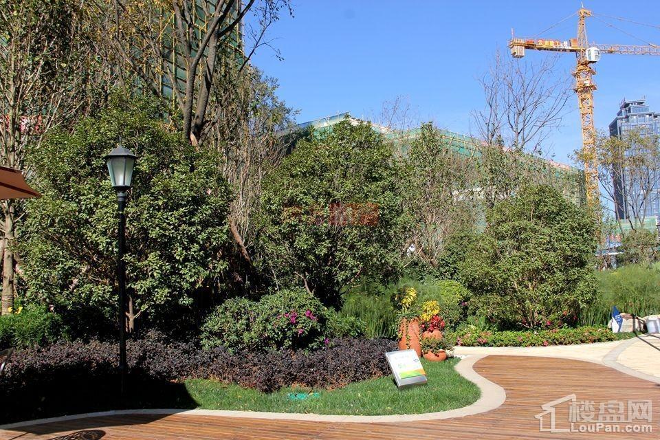 绿地东海岸实景图