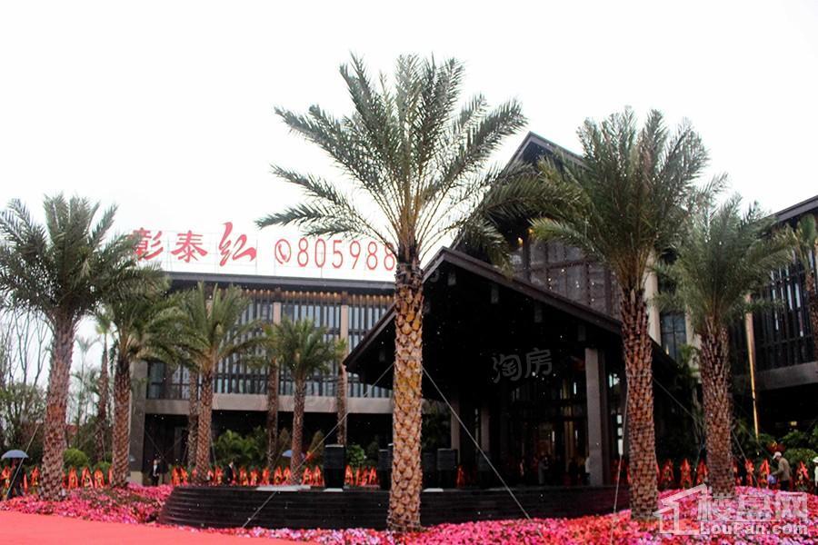 彰泰红实景图