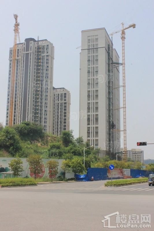 吉祥凤景湾实景图