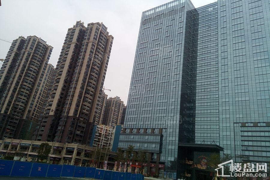 荣和千千树实景图