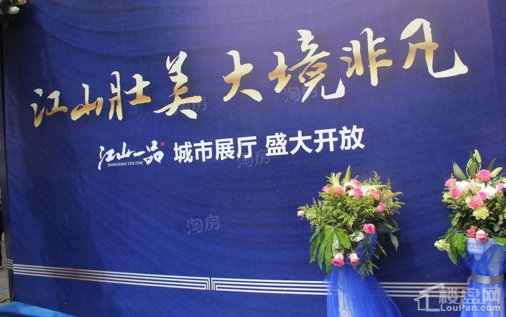 碧桂园德信·江山一品实景图