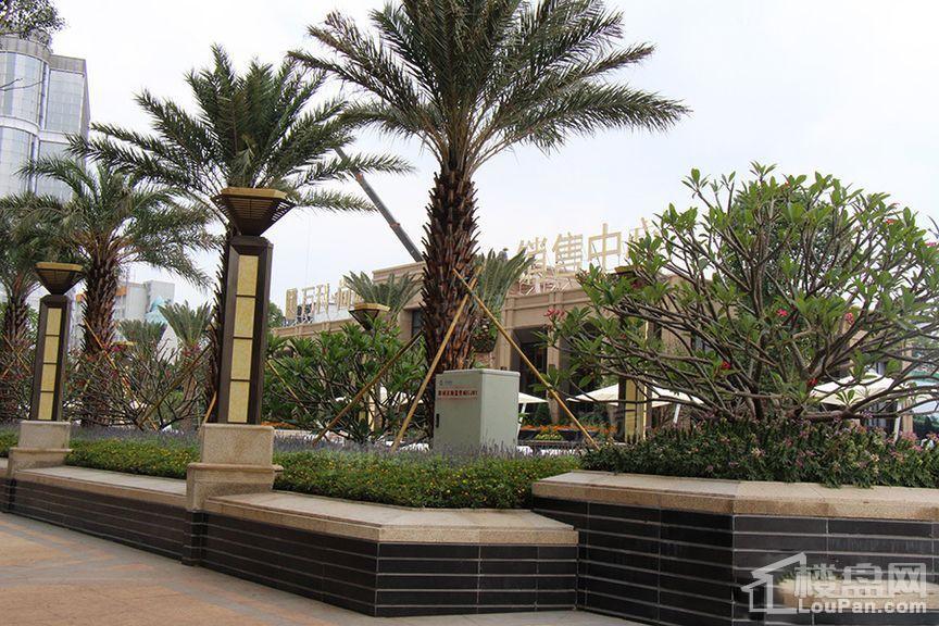 万科尚城实景图