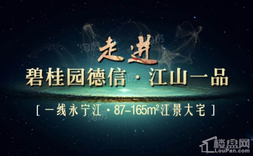 碧桂园德信·江山一品效果图