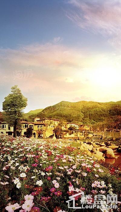 上邦山居岁月实景图