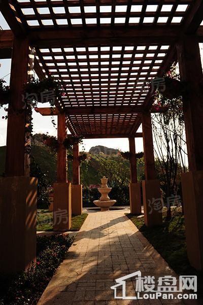 实景图